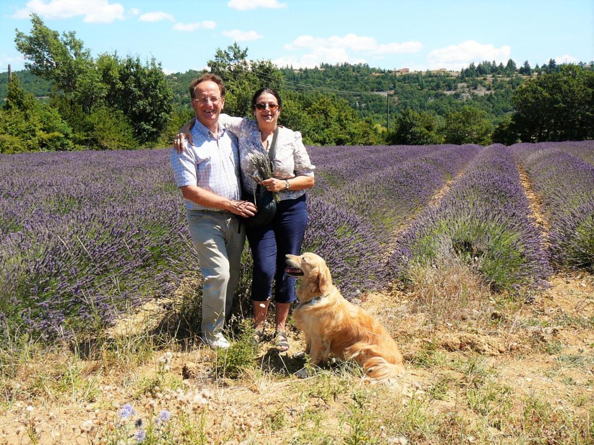 Santolines En Provence Bed & Breakfast Piolenc Eksteriør bilde