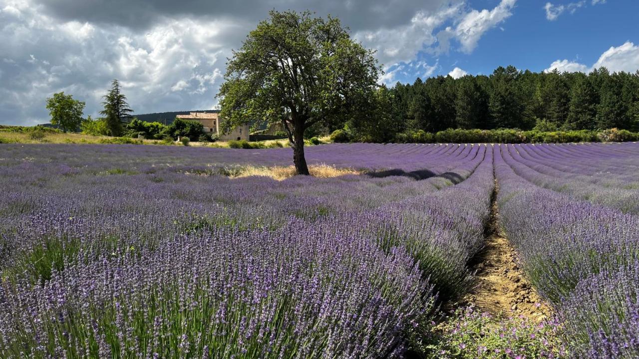 Santolines En Provence Bed & Breakfast Piolenc Eksteriør bilde