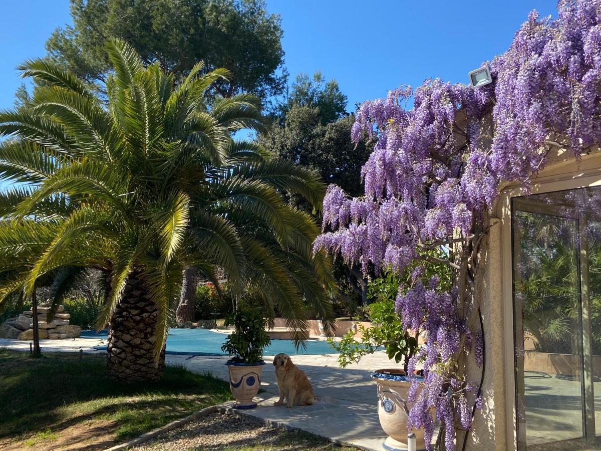 Santolines En Provence Bed & Breakfast Piolenc Eksteriør bilde